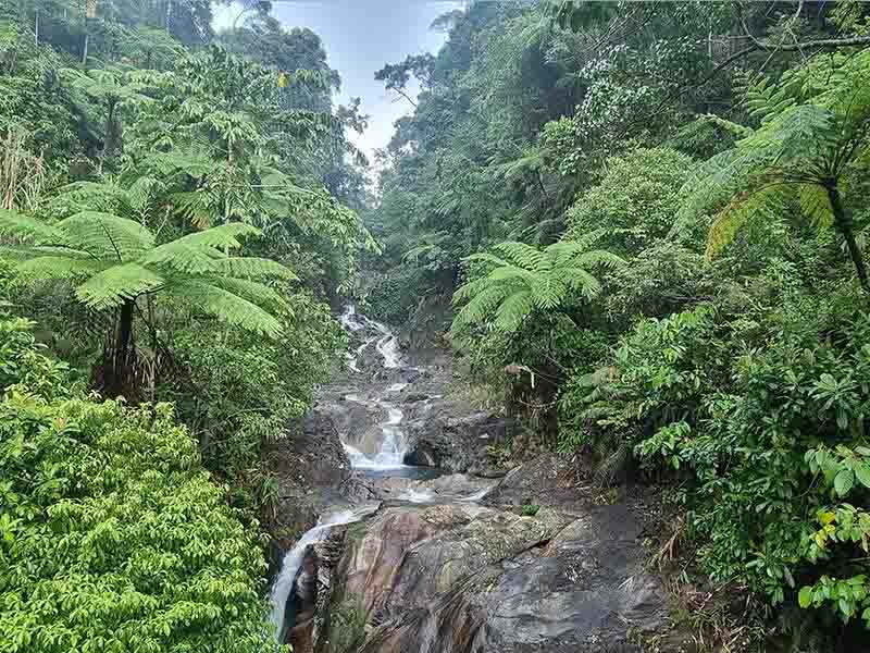 View on the Ho Chi Minh Trail