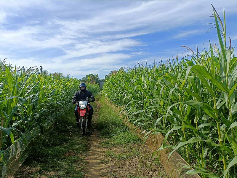 MOTORCYCLE TOUR FROM HOI AN TO HO CHI MINH CITY