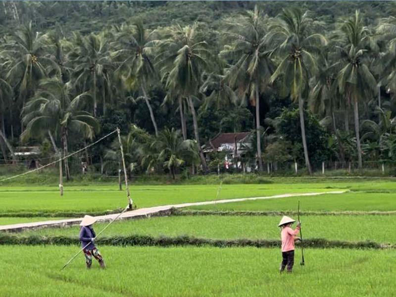 Motorcycle Tour from Hoi An to Ho Chi Minh city