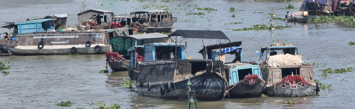 Motorbike Tour to Mekong Delta