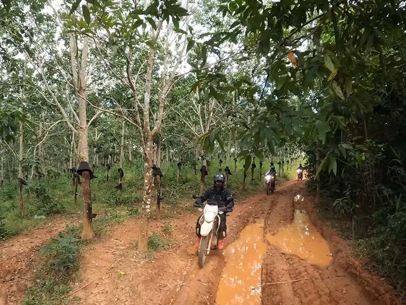 Motorbike Tour from Nha Trang to Hoi an (Da Nang)