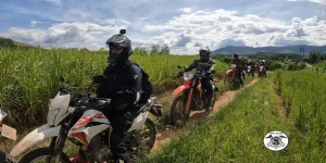 Can You Ride a Motorbike from Ho Chi Minh City to Hanoi?