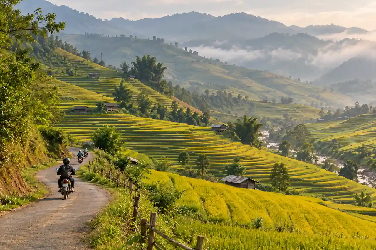 Motorcycle riders exploring winding roads through golden rice terraces in Mu Cang Chai, Vietnam.
